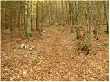 Stara Fužina - Planina Krstenica